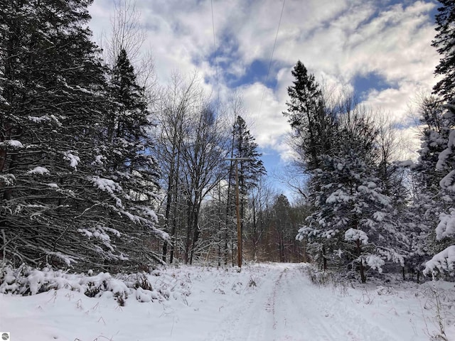 VL W Woodland Dr, Cadillac MI, 49601 land for sale