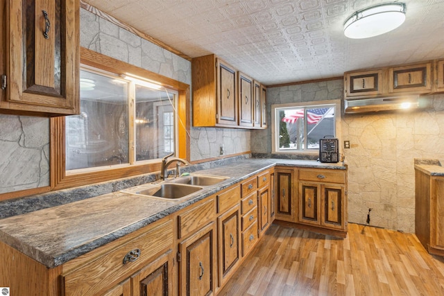 kitchen with sink, light hardwood / wood-style floors, and ornamental molding