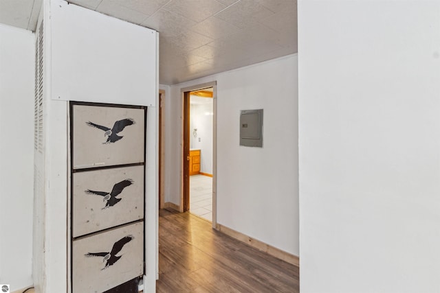 corridor featuring hardwood / wood-style floors and electric panel