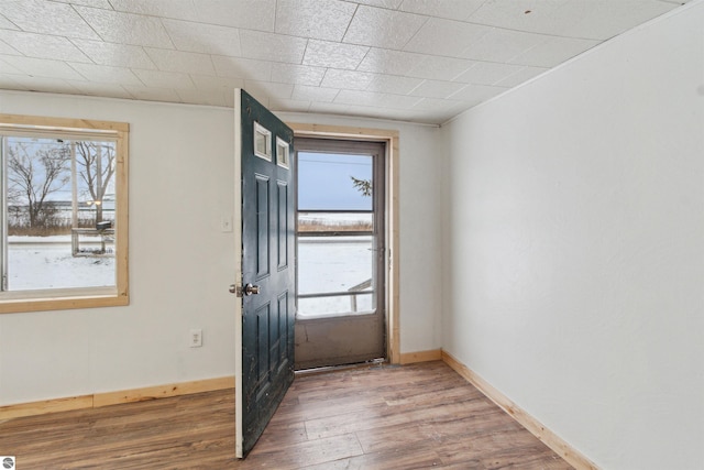 doorway with hardwood / wood-style flooring and plenty of natural light