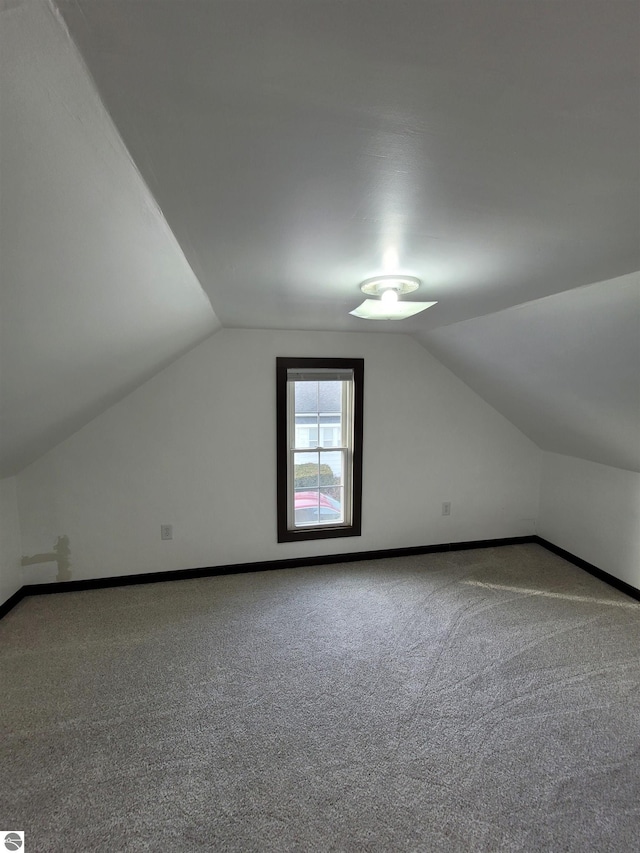 bonus room featuring carpet floors and vaulted ceiling