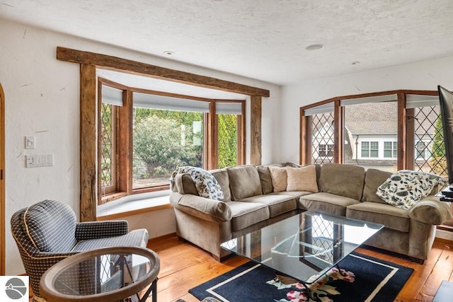 living room with a wealth of natural light, a textured ceiling, and light wood-type flooring