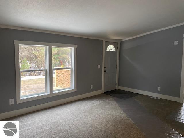 carpeted entrance foyer featuring ornamental molding