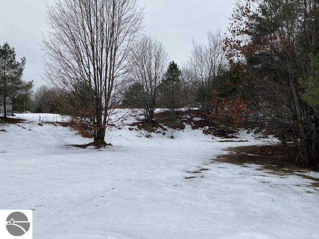 view of yard layered in snow