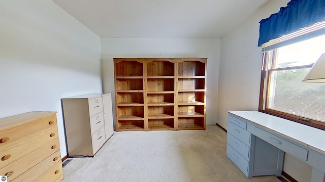 unfurnished office featuring light colored carpet