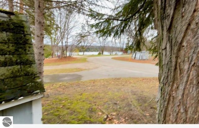 view of yard with a water view