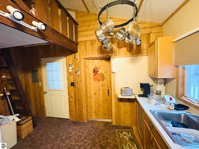 kitchen with sink and wooden walls