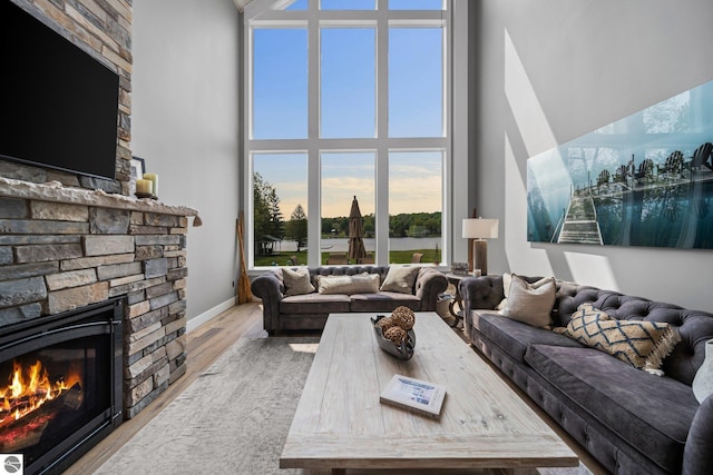 living room with wood-type flooring and a fireplace