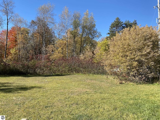 421 N Michigan Ave, Manton, MI 49663 - view of yard