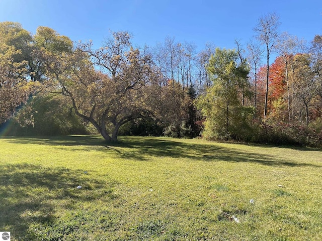 421 N Michigan Ave, Manton, MI 49663 - view of yard