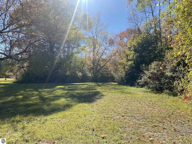 421 N Michigan Ave, Manton, MI 49663 - view of yard