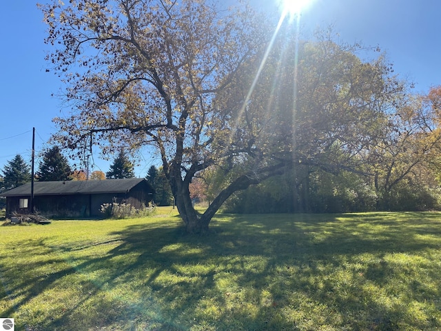 421 N Michigan Ave, Manton, MI 49663 - view of yard