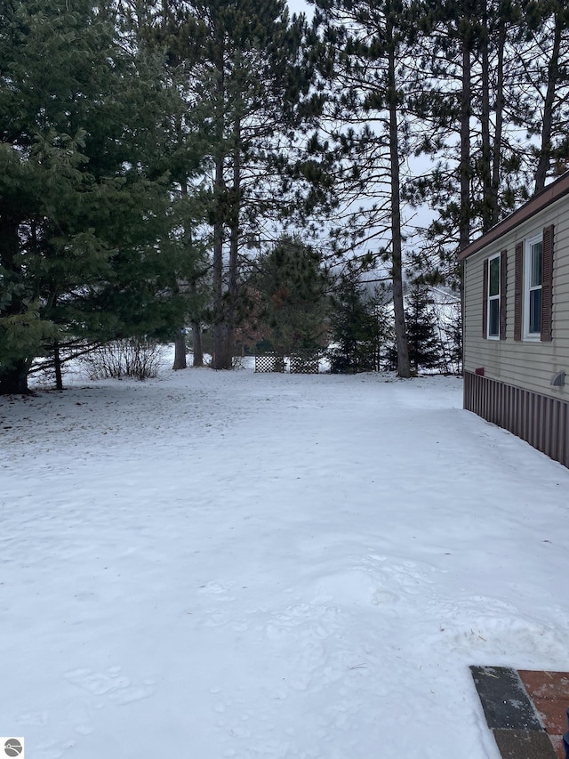 view of snowy yard