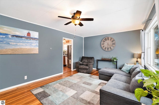 living room with ceiling fan, crown molding, and wood-type flooring