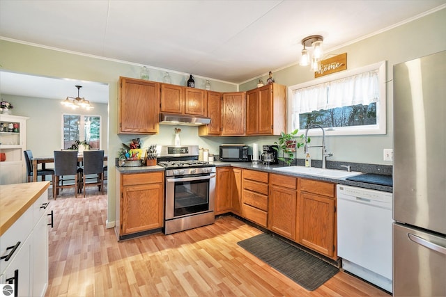 kitchen featuring appliances with stainless steel finishes, light hardwood / wood-style flooring, plenty of natural light, and sink