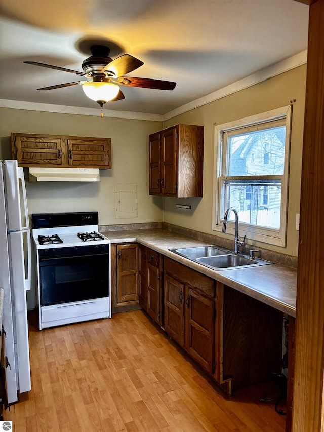 kitchen with ornamental molding, white appliances, ceiling fan, sink, and light hardwood / wood-style flooring