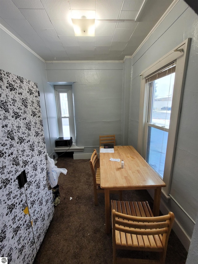 dining space featuring crown molding, carpet, and a healthy amount of sunlight