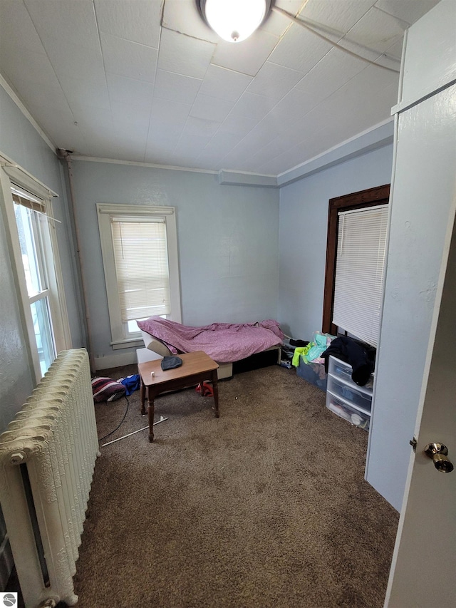 bedroom featuring dark colored carpet, radiator heating unit, and multiple windows