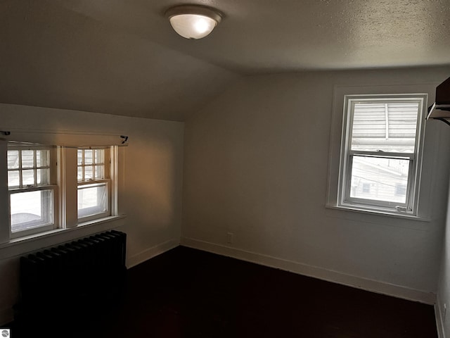 additional living space featuring radiator heating unit, a textured ceiling, vaulted ceiling, and a wealth of natural light