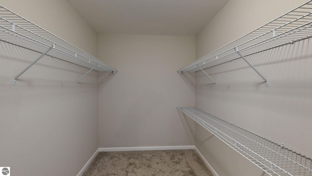 walk in closet with carpet