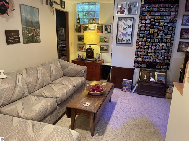 living room featuring carpet flooring