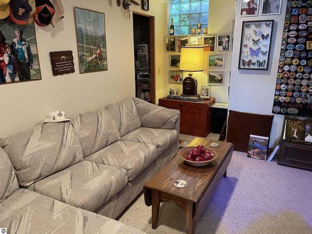 living room with carpet flooring