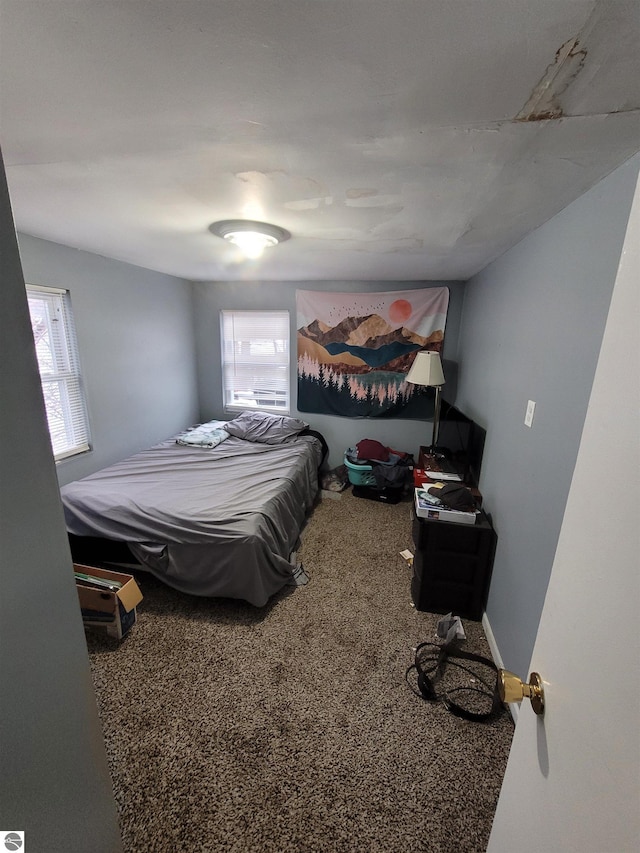 carpeted bedroom with multiple windows