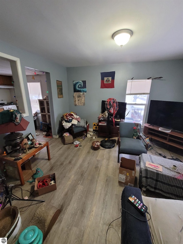 living room featuring hardwood / wood-style flooring