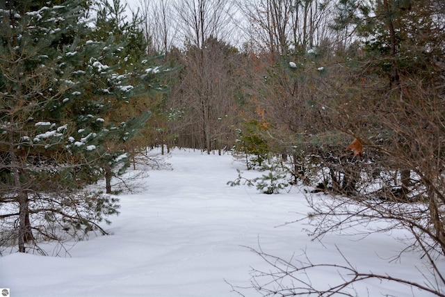 view of snowy view