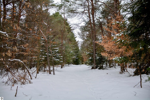 view of snow covered land