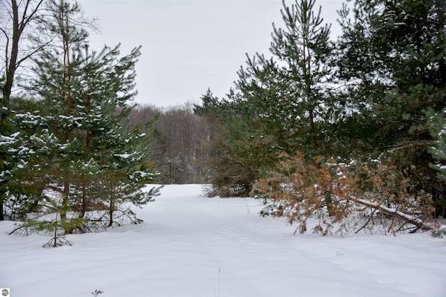 view of snow covered land