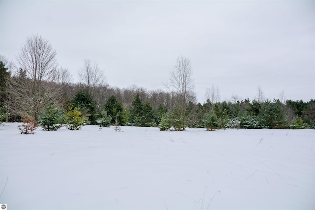 view of yard layered in snow