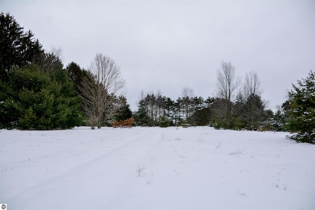 view of yard covered in snow