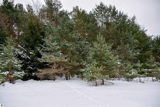 view of snowy landscape