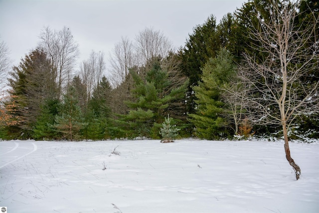 view of snow covered land