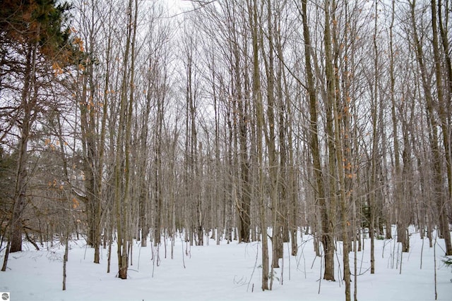 view of snow covered land