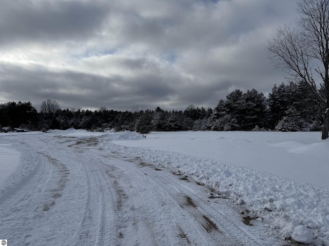 view of yard covered in snow