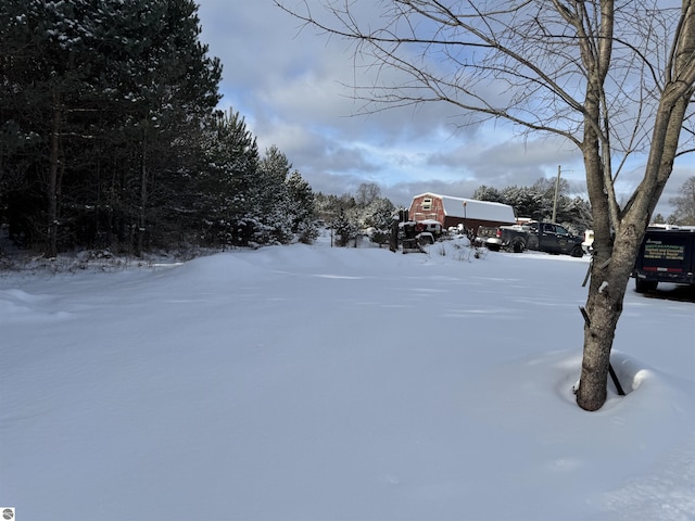 view of yard covered in snow