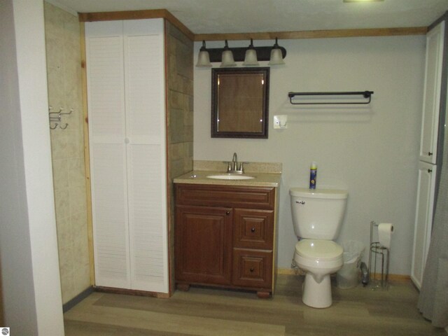 bathroom with vanity, wood-type flooring, and toilet