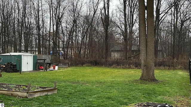 view of yard with a shed