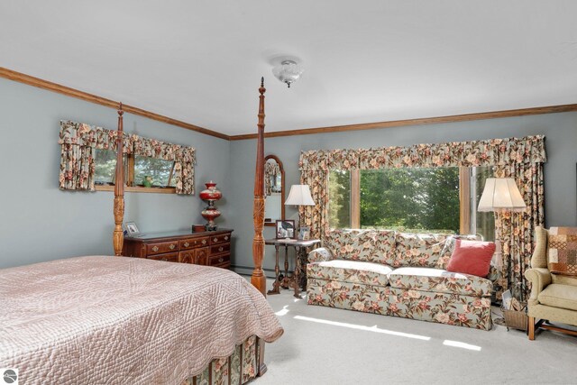 10343 E Hilltop Rd, Suttons Bay, MI 49682 - bedroom with carpet floors and ornamental molding