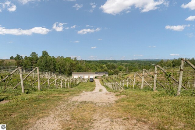 10343 E Hilltop Rd, Suttons Bay, MI 49682 - view of yard with a rural view