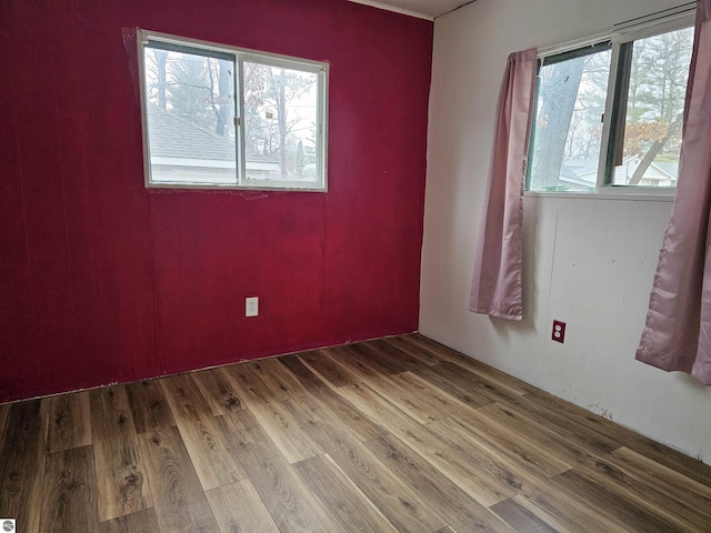 empty room featuring a wealth of natural light and wood-type flooring