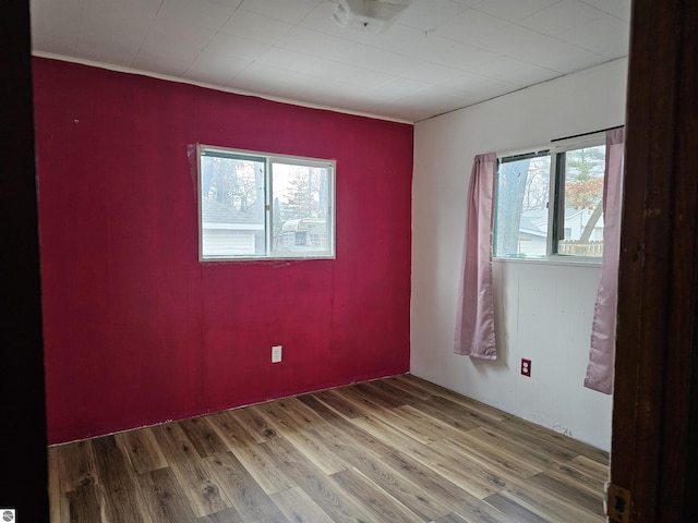 empty room featuring wood-type flooring and plenty of natural light