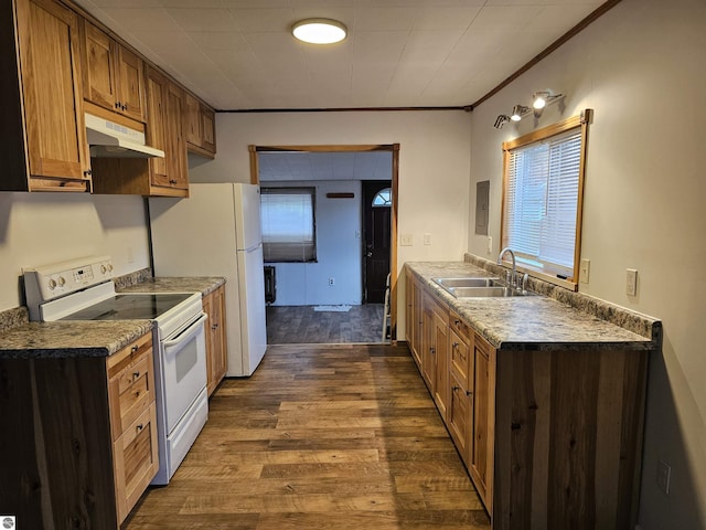 kitchen with dark hardwood / wood-style flooring, sink, crown molding, and electric stove