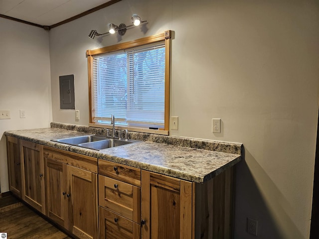 kitchen featuring electric panel, crown molding, sink, and dark wood-type flooring