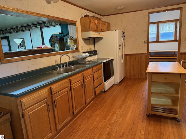 kitchen with white appliances, sink, wooden walls, light wood-type flooring, and ornamental molding