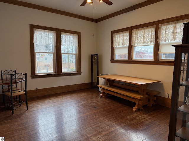 interior space with ceiling fan, dark hardwood / wood-style floors, and ornamental molding