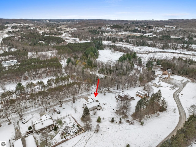 view of snowy aerial view