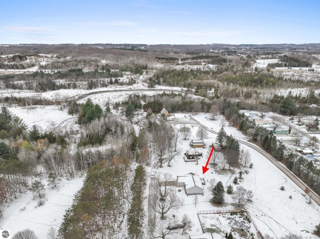 view of snowy aerial view